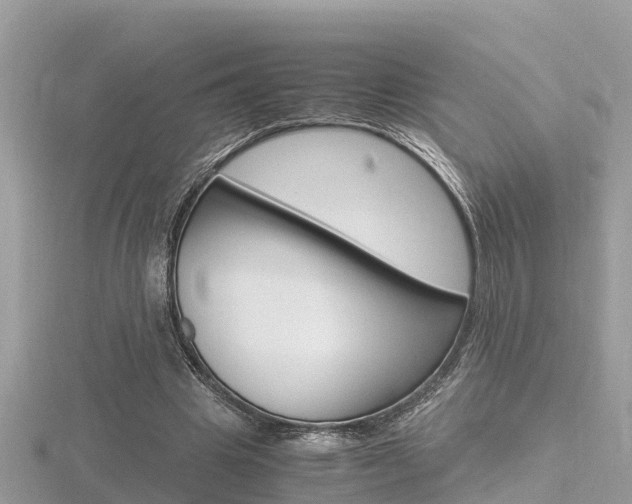 X0000116660441200912141030