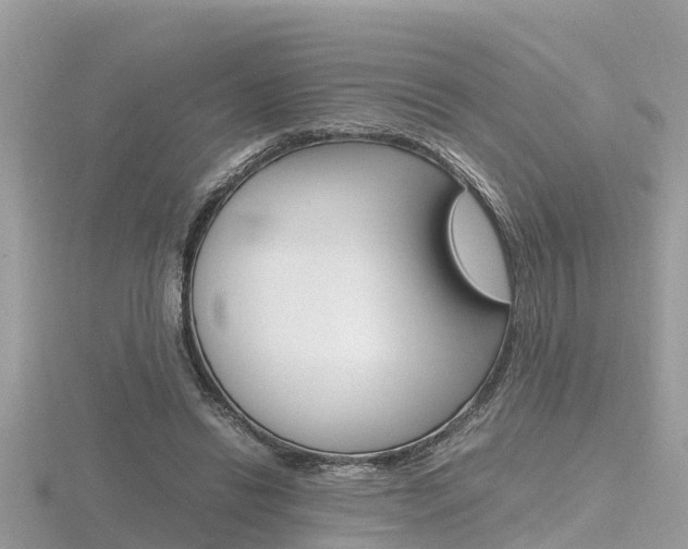 X0000116660446200912141030