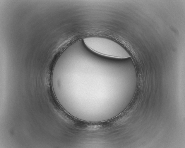 X0000116660450200912141030