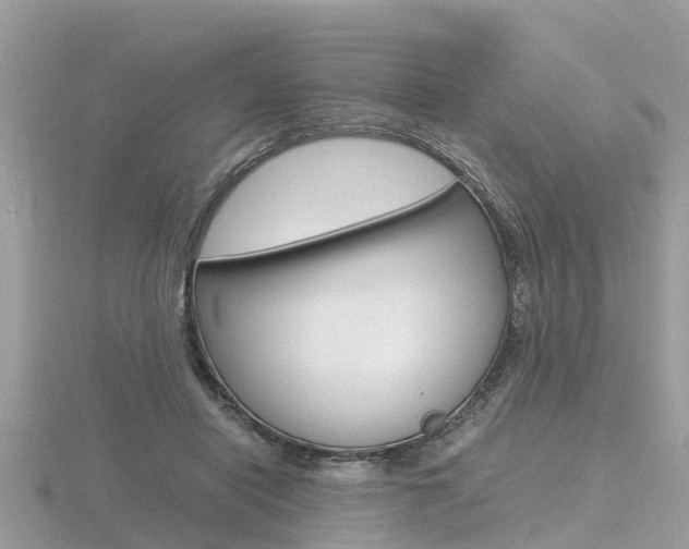 X0000116660454200912141030