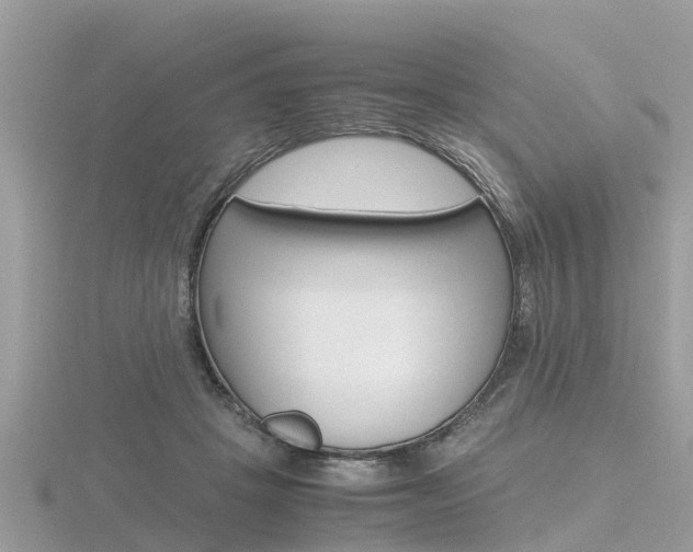 X0000116660457200912141030