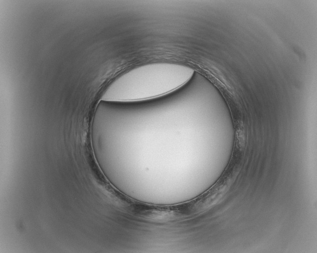 X0000116660458200912141030
