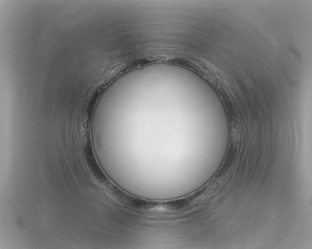 X0000116660460200912141030