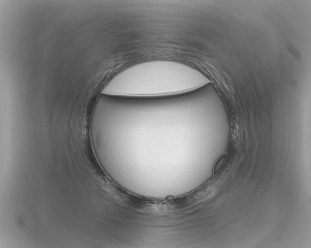 X0000116660466200912141030
