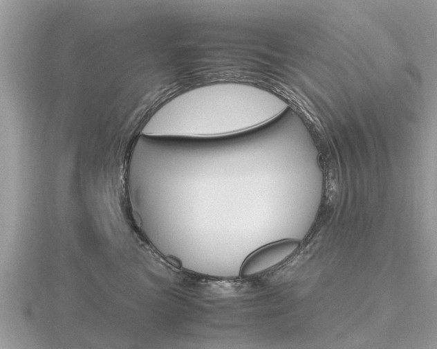 X0000116660473200912141030