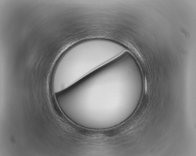 X0000116660483200912141029