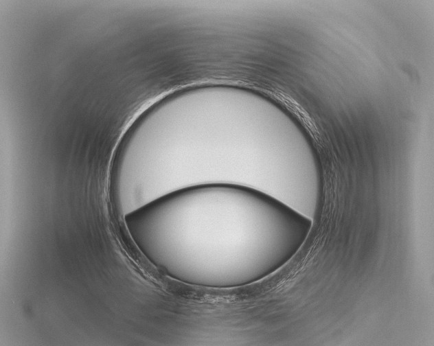 X0000116660484200912141029