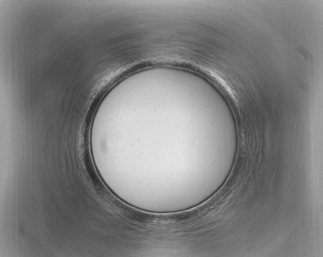 X0000116660487200912141029