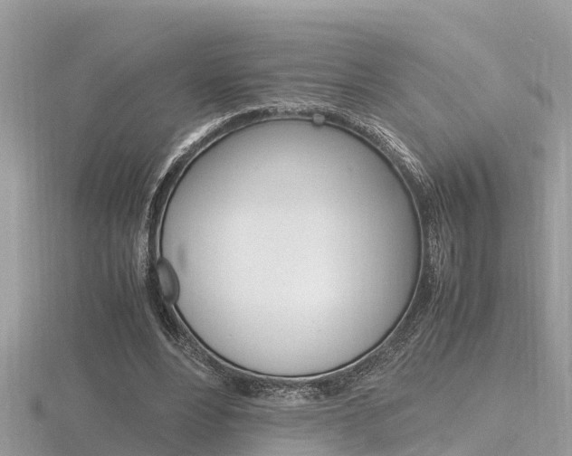 X0000116660488200912141029