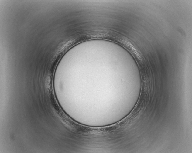 X0000116660490200912141029