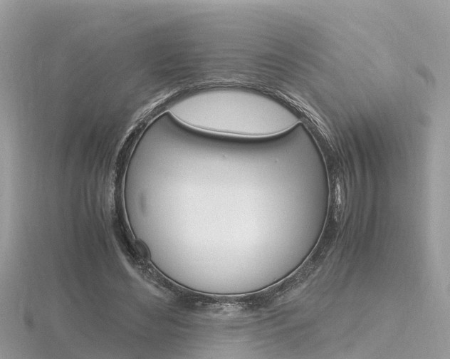 X0000116660492200912141029