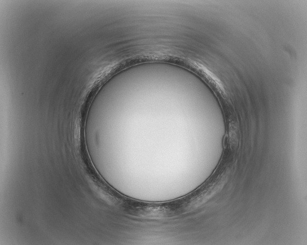 X0000116660493200912141029