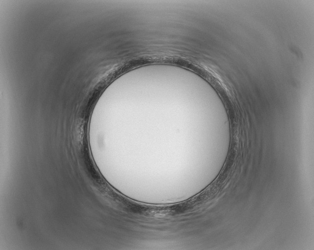 X0000116660495200912141029