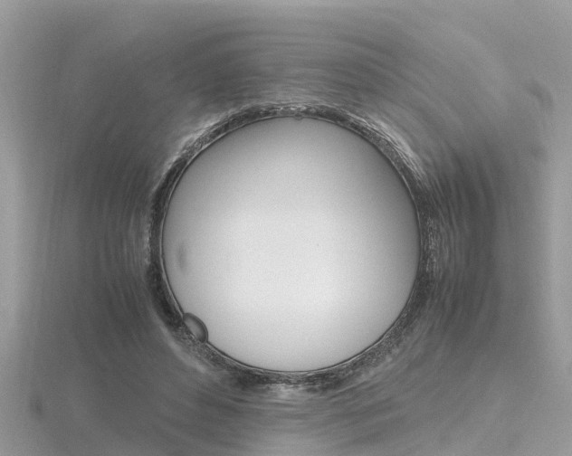 X0000116660496200912141029