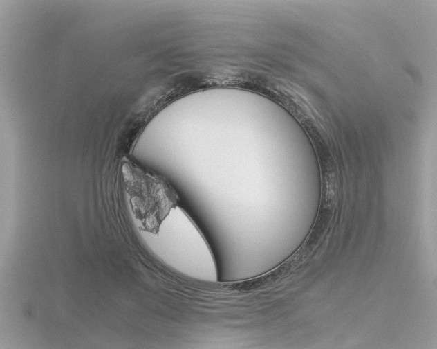 X0000116660503200912141029
