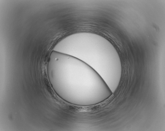 X0000116660504200912141029