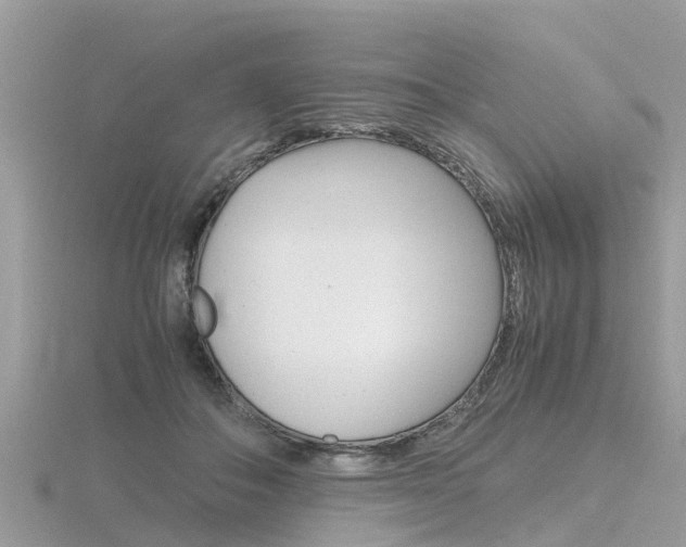 X0000116660506200912141029