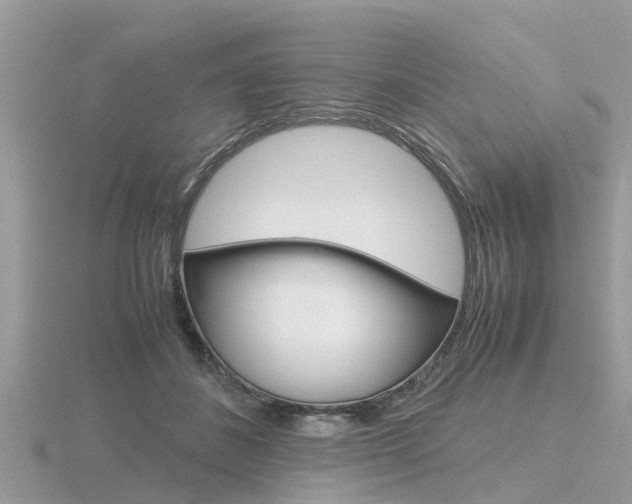 X0000116660508200912141029