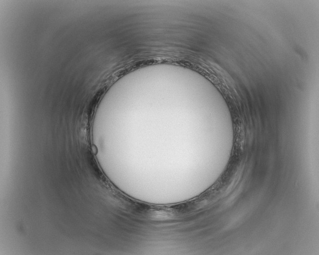 X0000116660510200912141029