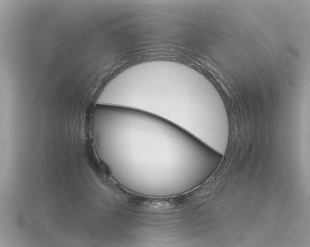 X0000116660512200912141029