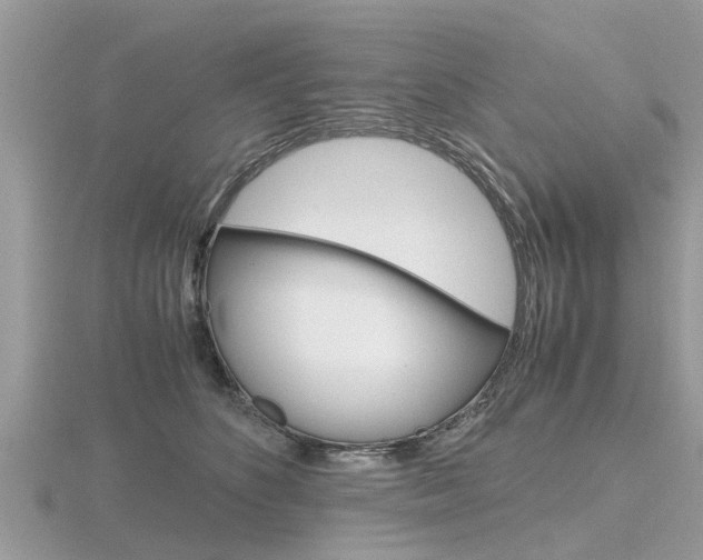 X0000116660516200912141029