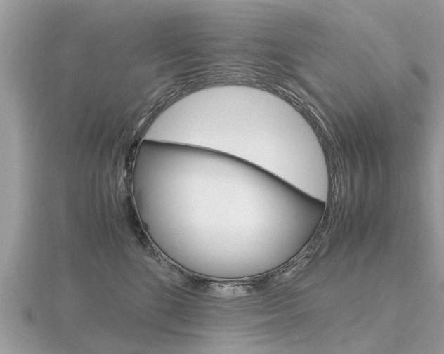 X0000116660520200912141029