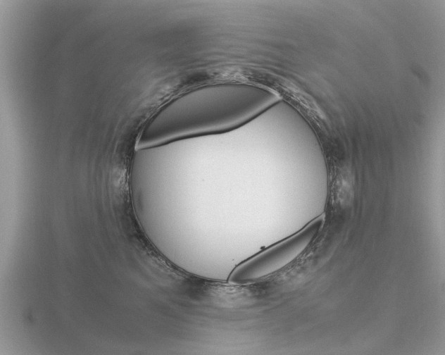 X0000116660521200912141029