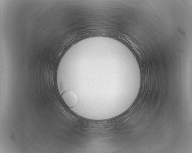 X0000116660524200912141029