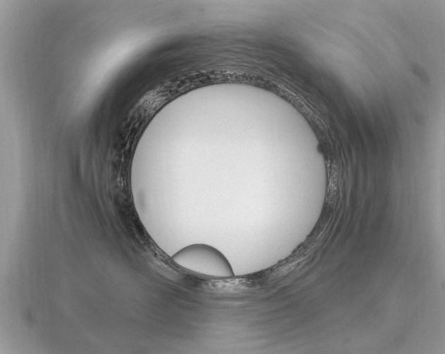 X0000116660526200912141029