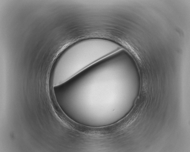 X0000116660530200912141028