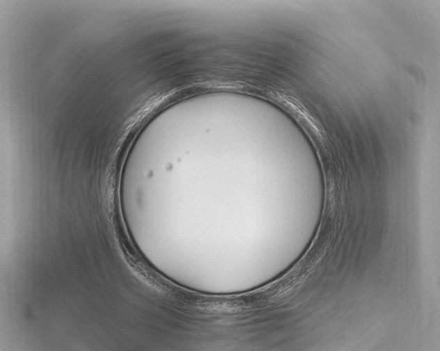 X0000116660533200912141028