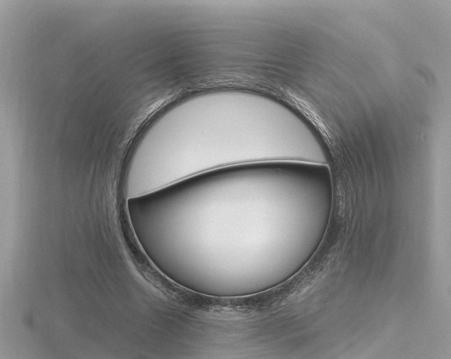 X0000116660538200912141028