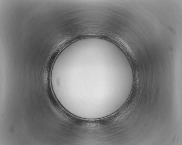 X0000116660542200912141028