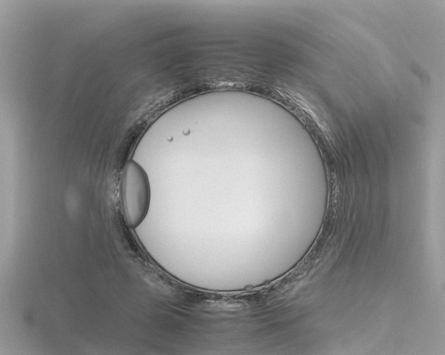 X0000116660545200912141028