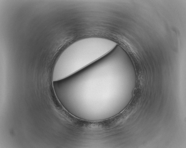 X0000116660546200912141028