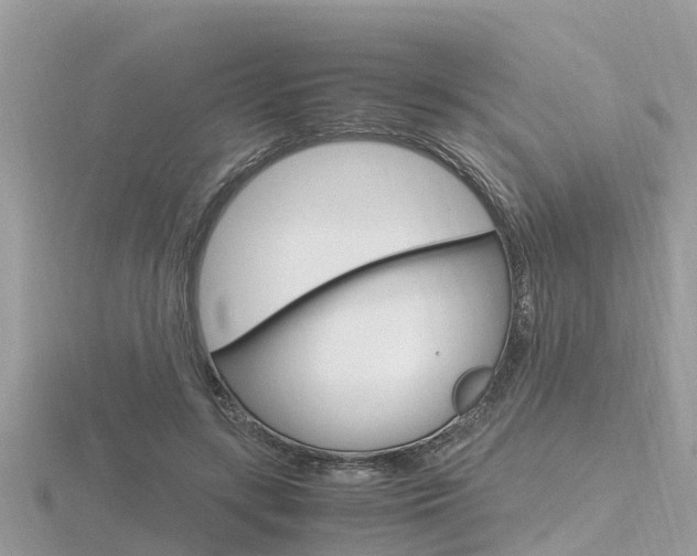 X0000116660547200912141028