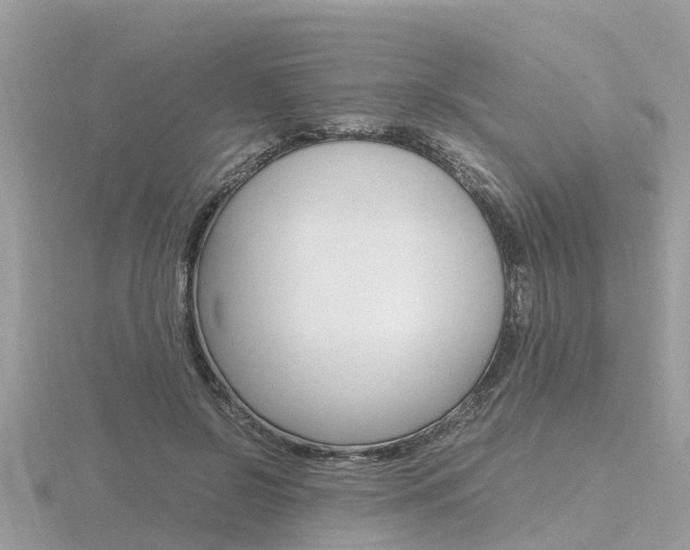 X0000116660550200912141029