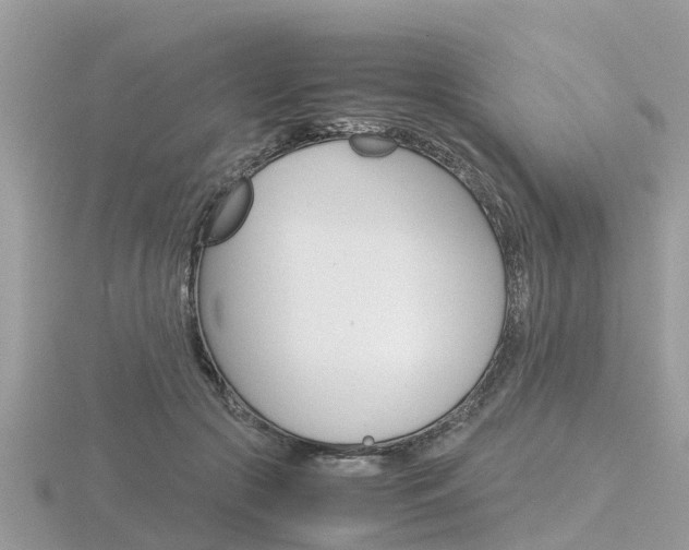 X0000116660553200912141029