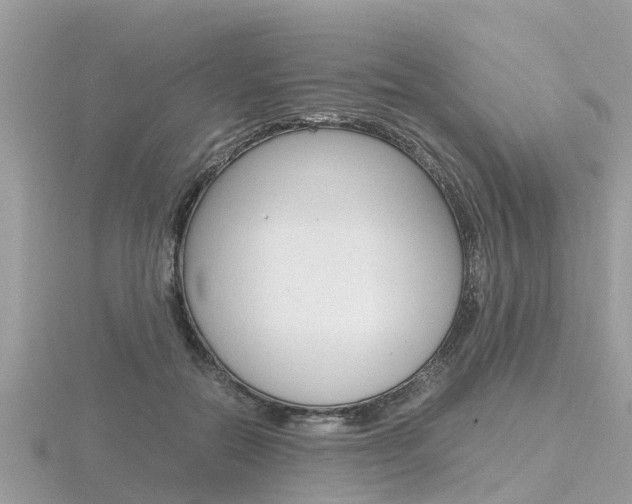 X0000116660554200912141029