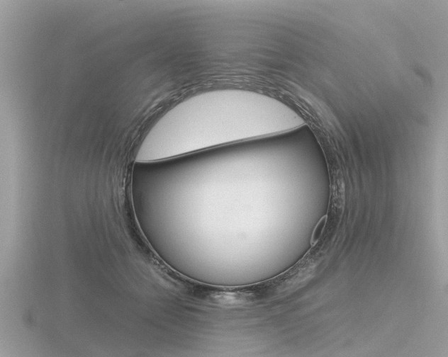 X0000116660558200912141029