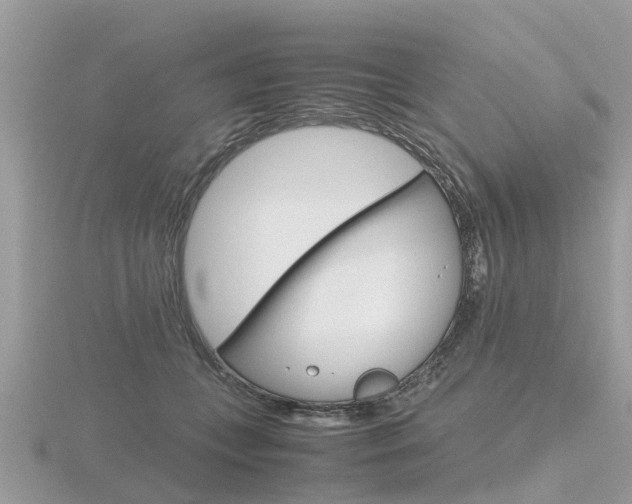 X0000116660559200912141029