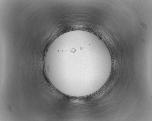 X0000116660561200912141029