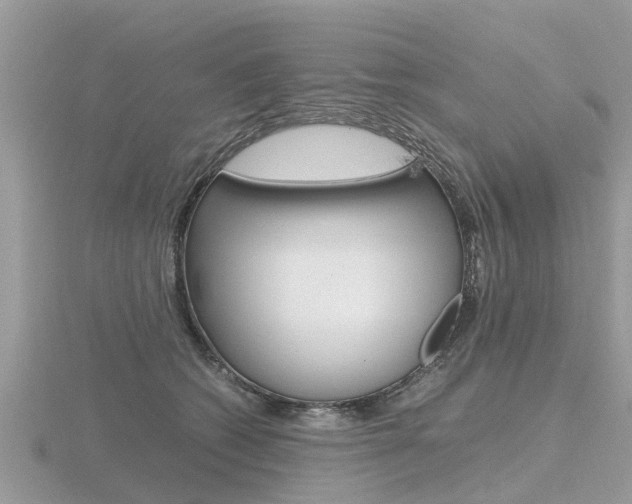 X0000116660562200912141029