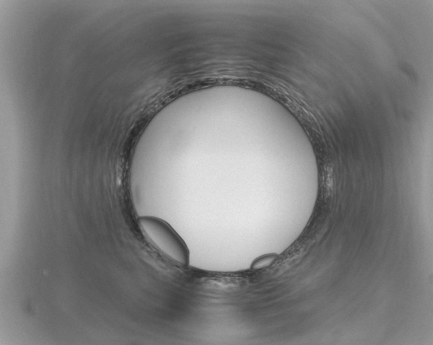 X0000116660567200912141029