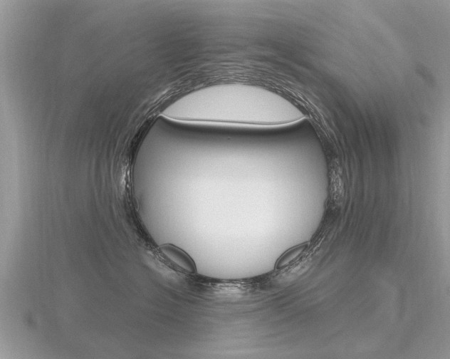 X0000116660574200912141029