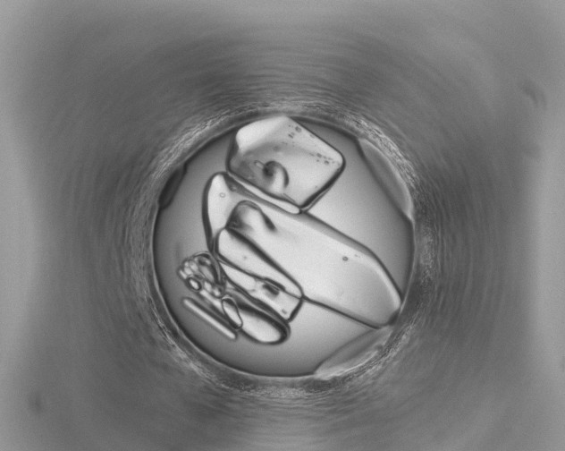 X0000116660577200912141028