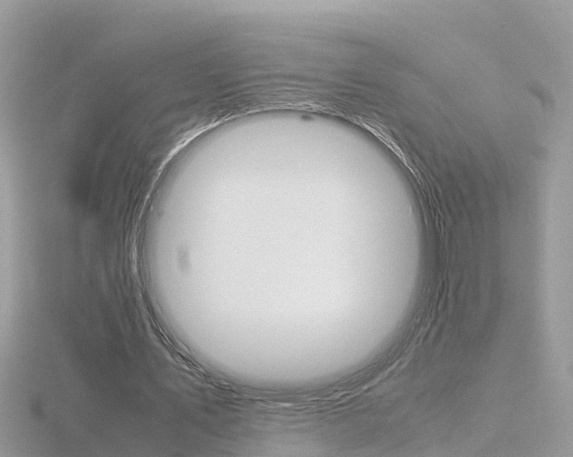 X0000116660579200912141028