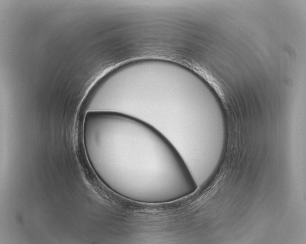 X0000116660580200912141028