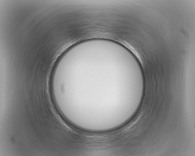 X0000116660581200912141028