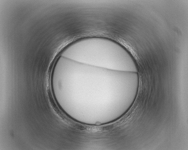 X0000116660582200912141028